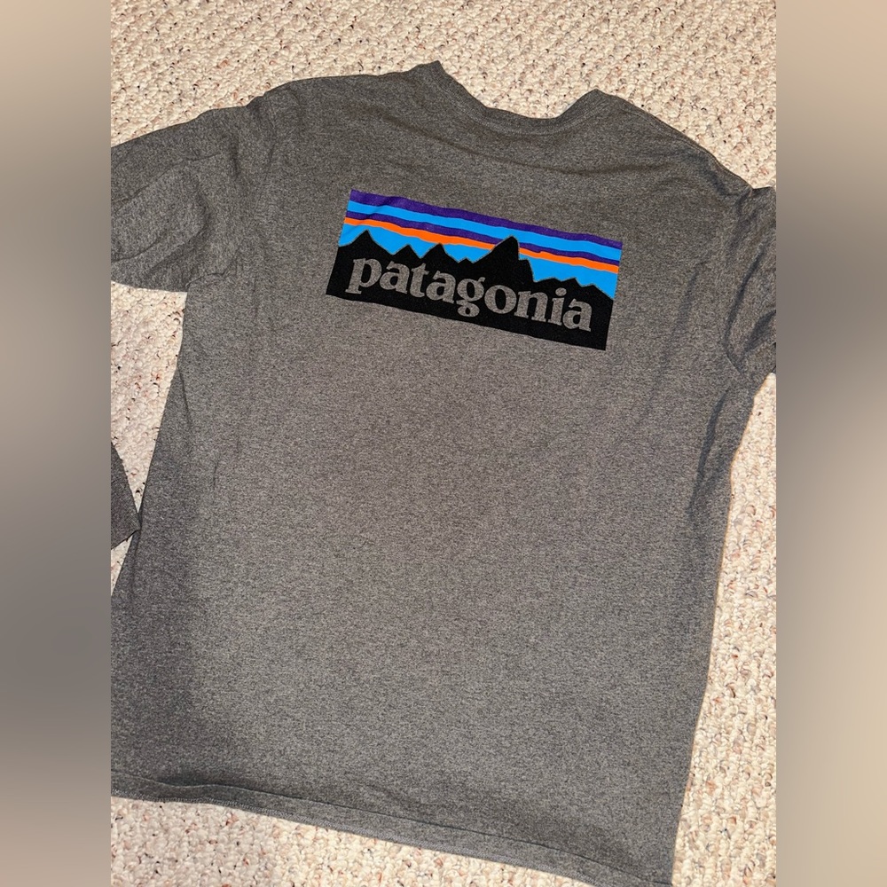 Patagonia Responsibili-Tee Long Sleeve